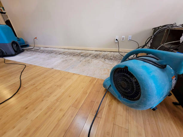 Professional Structural Drying technician working in Winsted, MN